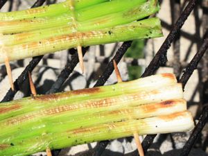 Grilled Scallions