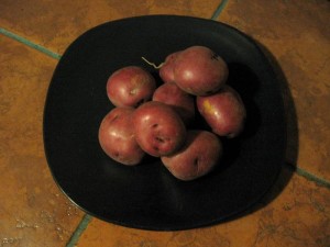 Bowl of New Potatoes
